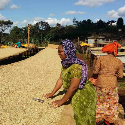 Ethiopia Wuri Yirgacheffe