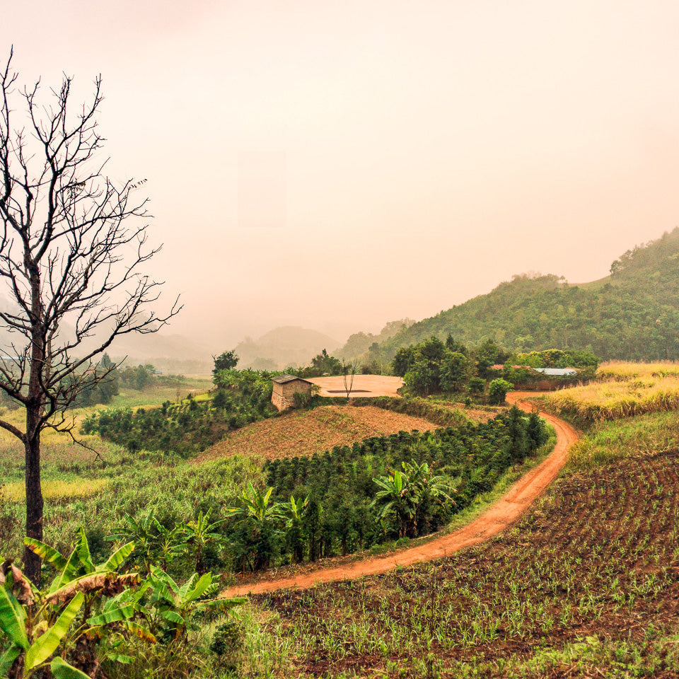 China Yunnan